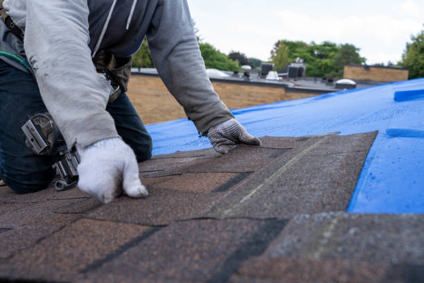 Best Roof Moss and Algae Removal  in National City, CA